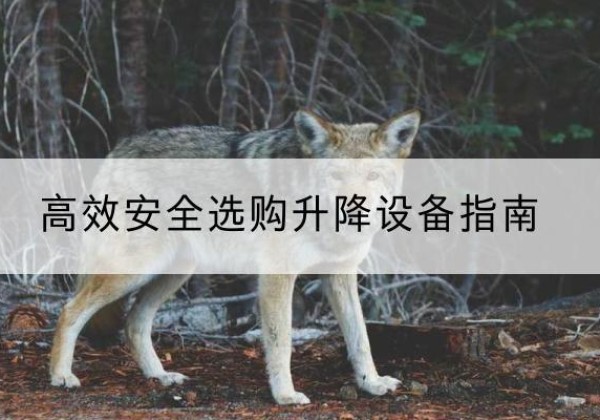 建水升降货梯厂家推荐-*安全选购升降设备指南