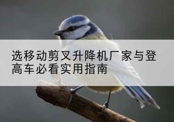 建水电动升降机厂家-选移动剪叉升降机厂家与登高车必看实用指南